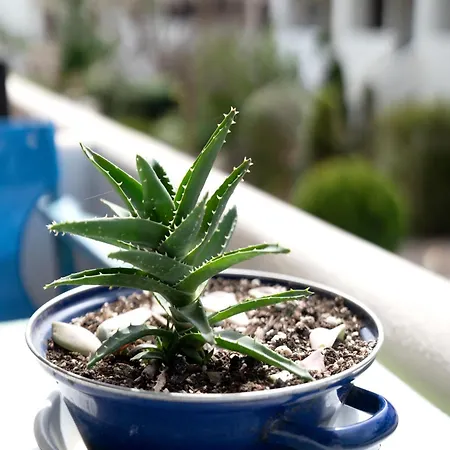 Casa vacanze Artistic 1 Afytos