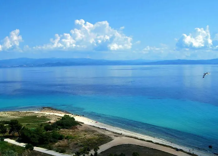 Case de vacanță Artistic 1 *